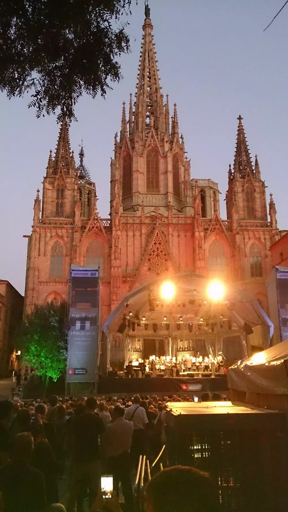 Gothic cathedral La Seu