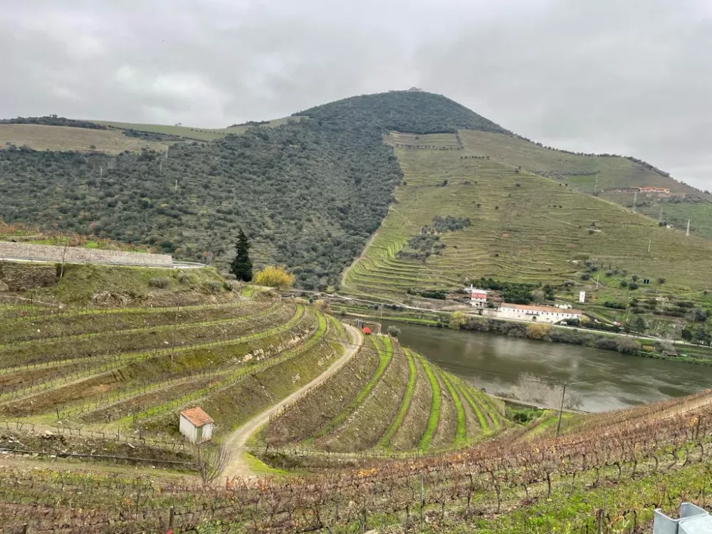 Vineyards near Porto