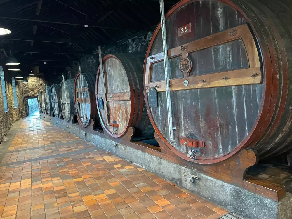 Port wine cellar