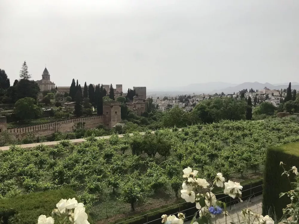 Cloudy weather in Alhambra gardens